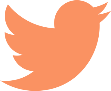 twitter-icon-carrot-color